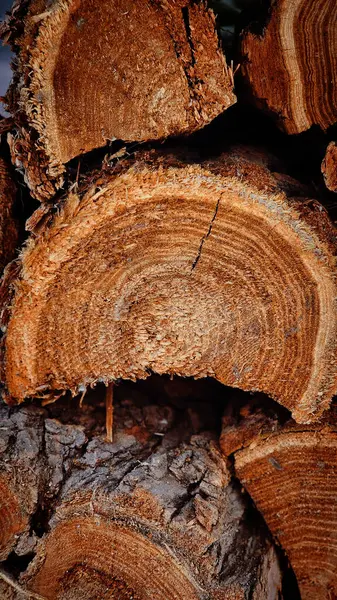 Ocakta ısıtma için odun.