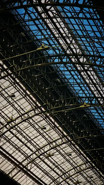 Budapeşte 'deki tren istasyonunun çatı iskeleti