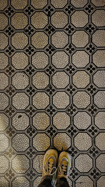 Baharda Budapeşte 'nin merkezindeki binaların mimari detayları