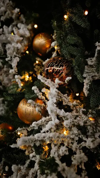 Chisinau sokaklarında Yeni Yıl ve Noel süsleri