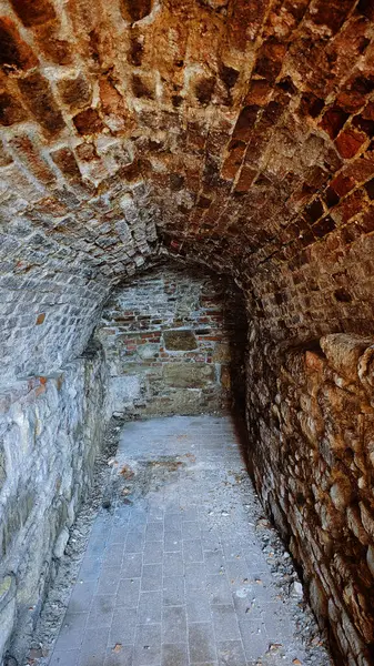 Romanya 'nın Oradea kentinde tuğla kale