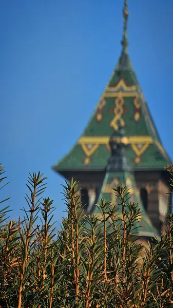 Timisoara 'nın merkezindeki Üç Azizin Katedrali