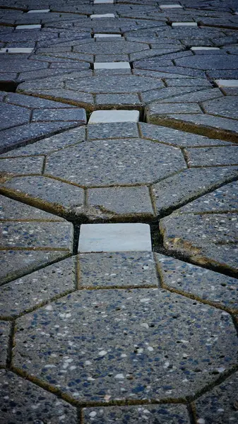 Timisoara 'da zafer meydanındaki fayanslar