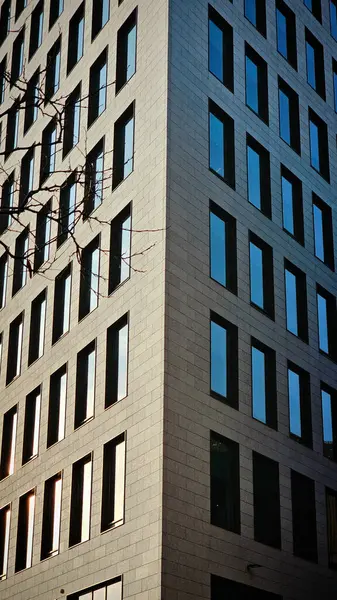 Timisoara 'nın iş merkezinde gün batımında beyaz ofis binası açık havada