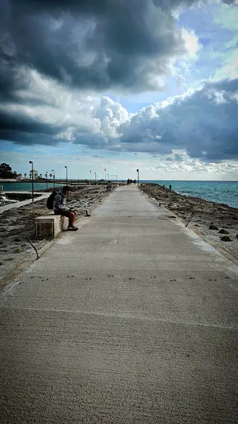 Ocak 'ta hindinin deniz manzarası