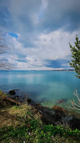 Ocak 'ta hindinin deniz manzarası