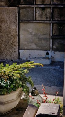 Nisan ayında Budapeşte 'nin merkezindeki tarihi mezarlık