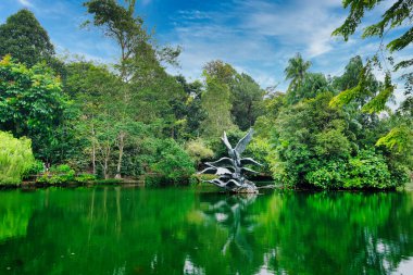 Singapur Botanik Bahçeleri Kuğu Gölü - UNESCO Dünya Mirası Bölgesi