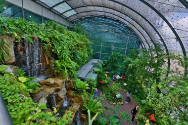 Singapur Changi Havaalanı Terminali Kelebek Bahçesi Turu 