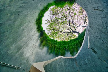 Singapur Kalesi Canning Park Ağaç Tüneli 20 Ocak 2025, 06: 50