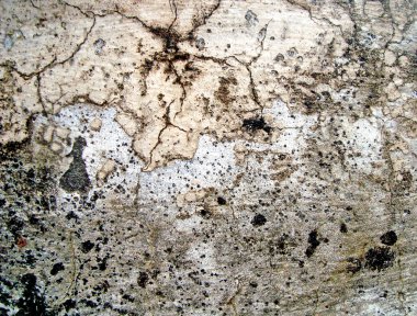 Eski duvarın arkasında bir taş deseni var.