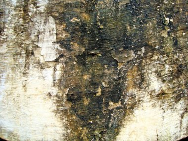 Eski duvarın arkasında bir taş deseni var.