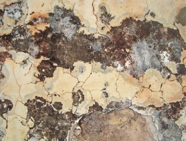 Eski duvarın arkasında bir taş deseni var.