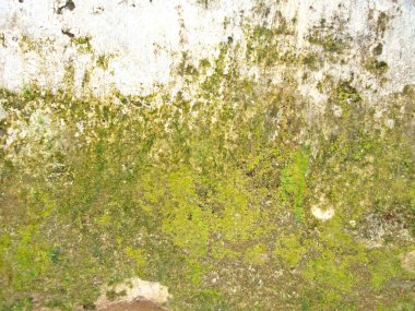 Eski duvarın arkasında bir taş deseni var.