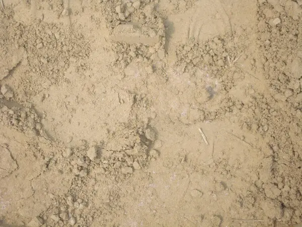 pis toprak doku arka plan