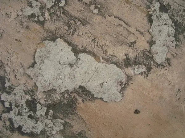 çatlaklı eski gri duvarın dokusu