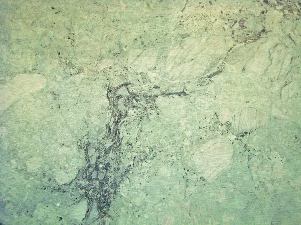 Eski duvarın arkasında bir taş deseni var.