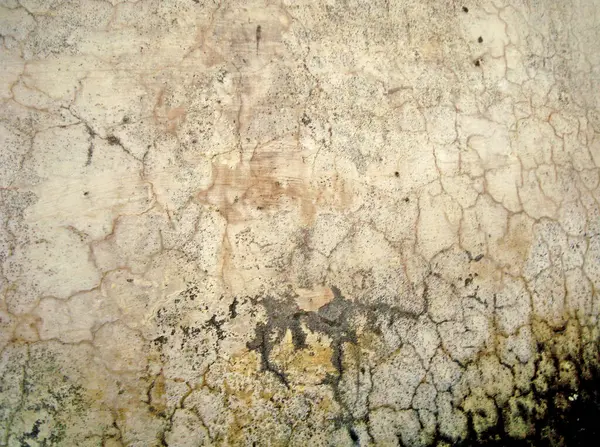 Eski duvarın arkasında bir taş deseni var.