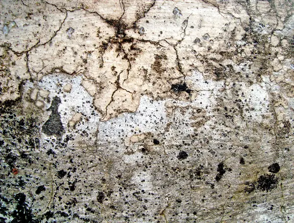 Eski duvarın arkasında bir taş deseni var.