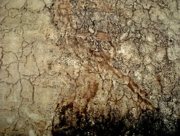 Eski duvarın arkasında bir taş deseni var.