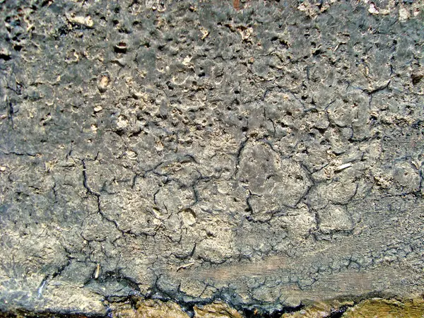 Eski duvarın arkasında bir taş deseni var.