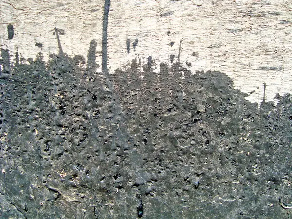 Eski duvarın arkasında bir taş deseni var.