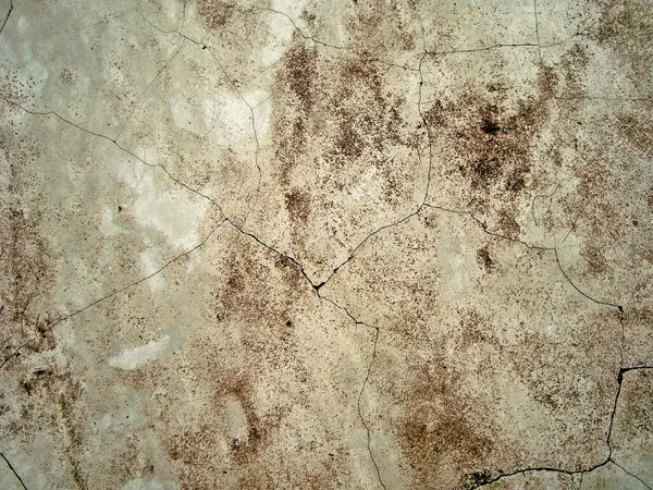 Eski duvarın arkasında bir taş deseni var.