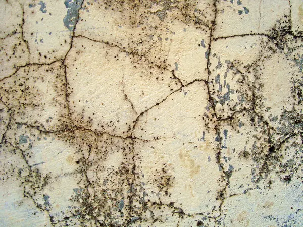 Eski duvarın arkasında bir taş deseni var.