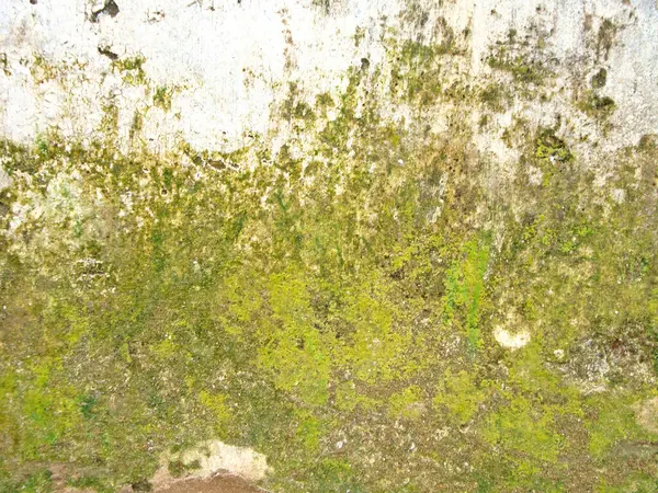 Eski duvarın arkasında bir taş deseni var.