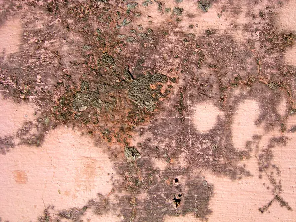 Eski duvarın arkasında bir taş deseni var.