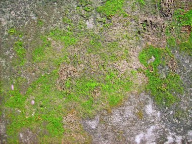 Arka plan dokusu olarak doğal kaya ya da taş materyali