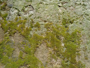 Arka plan dokusu olarak doğal kaya ya da taş materyali