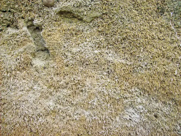 Eski duvarın arkasında bir taş deseni var.