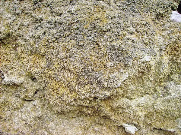 Eski duvarın arkasında bir taş deseni var.