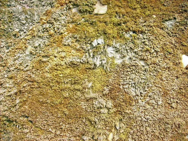 Arka plan dokusu olarak doğal kaya ya da taş materyali