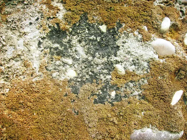 Arka plan dokusu olarak doğal kaya ya da taş materyali