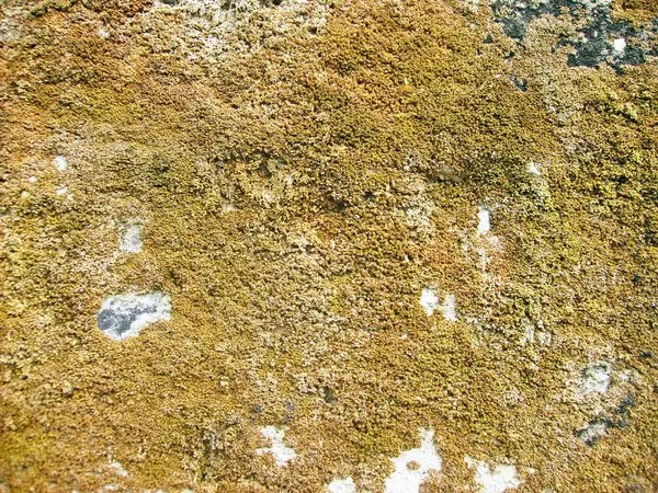 Arka plan dokusu olarak doğal kaya ya da taş materyali