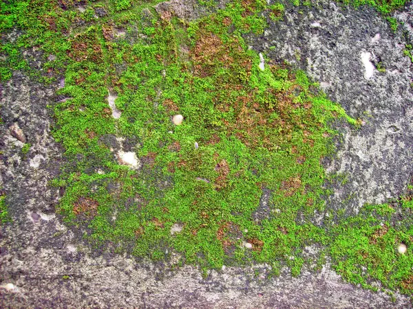 Arka plan dokusu olarak doğal kaya ya da taş materyali