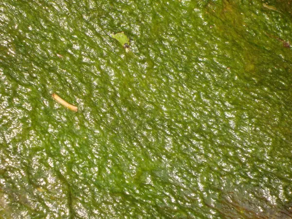 Arka plan dokusu olarak doğal kaya ya da taş materyali