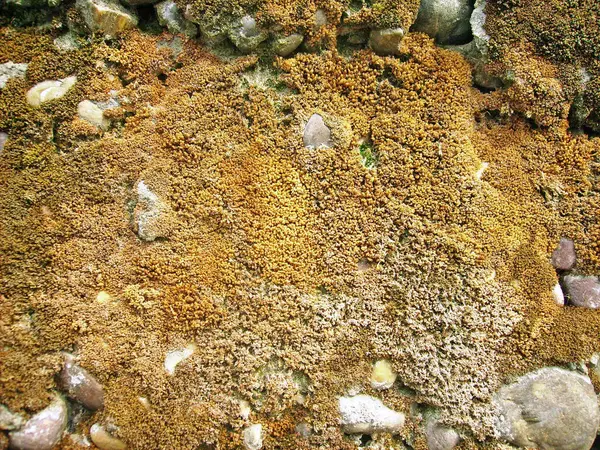 Arka plan dokusu olarak doğal kaya ya da taş materyali