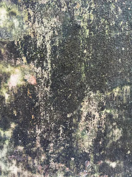 Doku, arka plan. Taş duvardan taş duvar