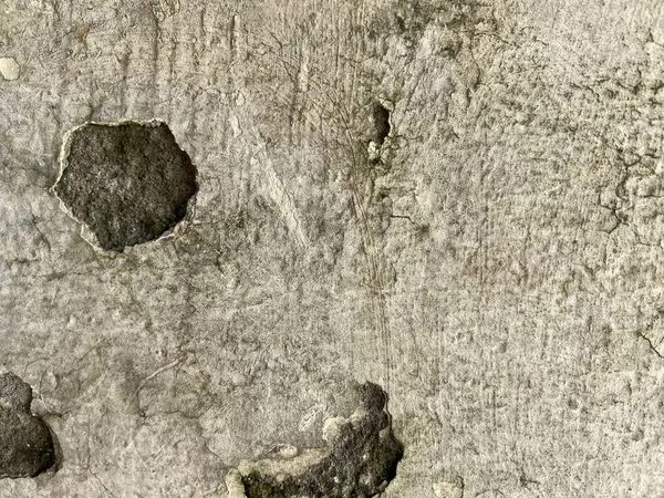 Beton duvar arka planı. Çimento dokusu