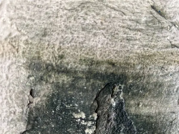 Eski beton duvar arka planı