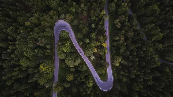 Yeşil orman arka planında yol işareti