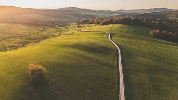 Yeşil alanın havadan görüntüsü