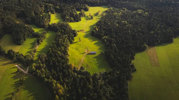 Yeşil alanın havadan görüntüsü