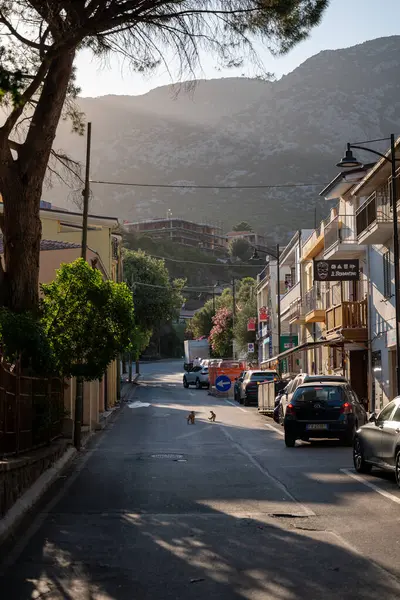 Cala Gonone Caddesi, Sardunya Yazı