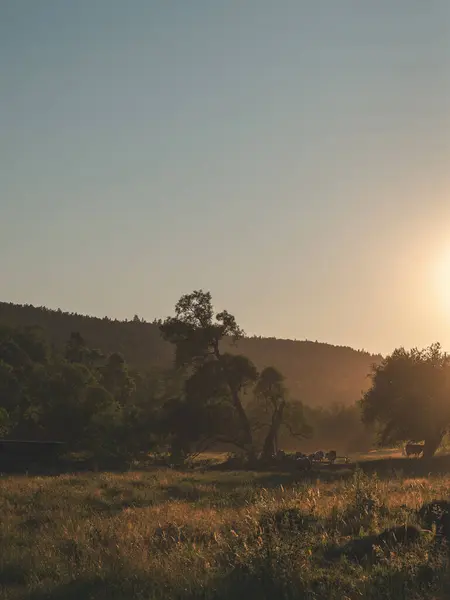 Beskid Niski dağlarında gün batımı, Polonya