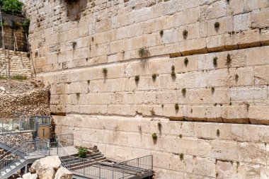 Kudüs 'ün tarihi taş duvarı. Blokların arasında büyüyen küçük bitkiler. Zamanın nasıl geçtiğini gösteriyor. Metal bir merdiven ve doğal çevresi var. Seyahat ve geçmiş temaları için ideal.