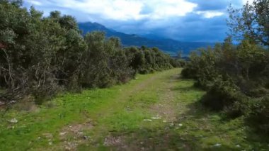 Ağaçların arasında taşların büküldüğü engebeli bir orman yolu. Arka planda bir dağ ve vadi beliriyor. Yemyeşil, vahşi doğa yukarıdaki dramatik bulutlarla tamamlanır..